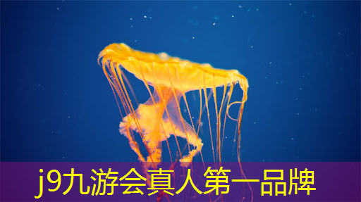 j9九游会官网-真人游戏第一品牌：3d摔汽车游戏