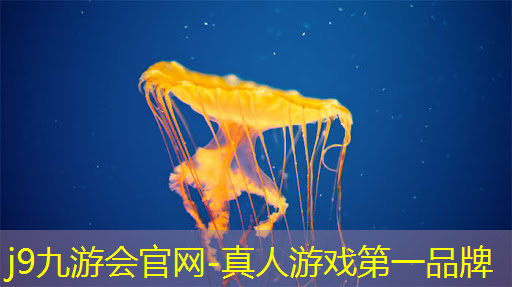 j9九游真人游戏第一品牌：游戏原创人物原画对打