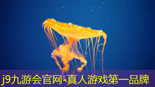 j9九游真人游戏第一平台：赛博朋克3D游戏亮点