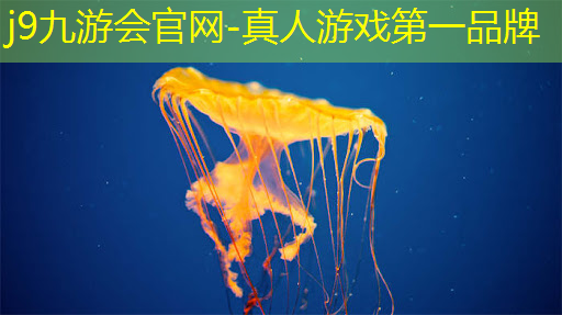 制作小程序游戏需要什么