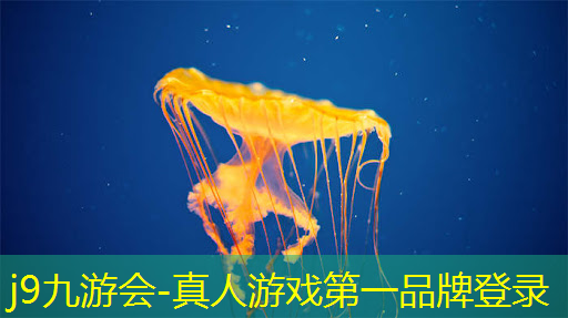 j9九游真人游戏第一平台：大型3D游戏笔记本电脑要什么配置