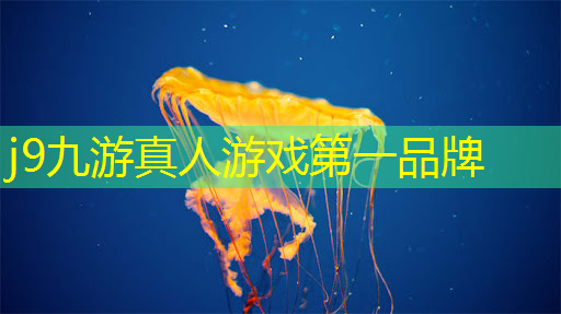 3d摔汽车游戏