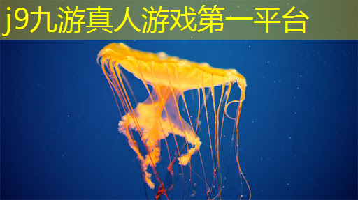 游戏原创人物原画对打