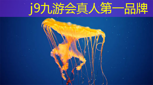 赛博朋克3D游戏亮点