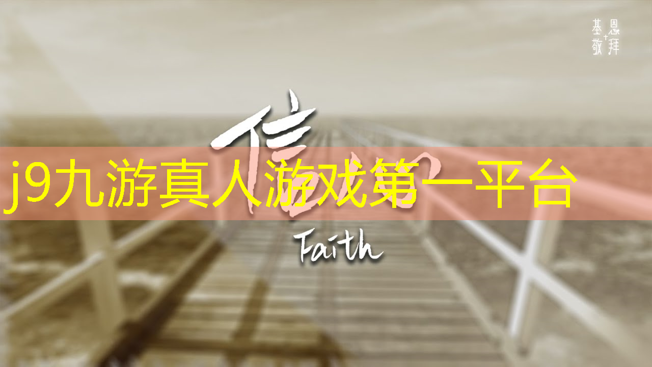 3d双人对战类游戏