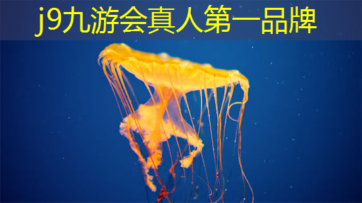 制作小程序游戏需要什么