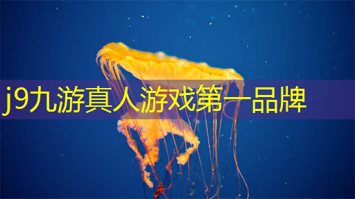 大型3D游戏笔记本电脑要什么配置